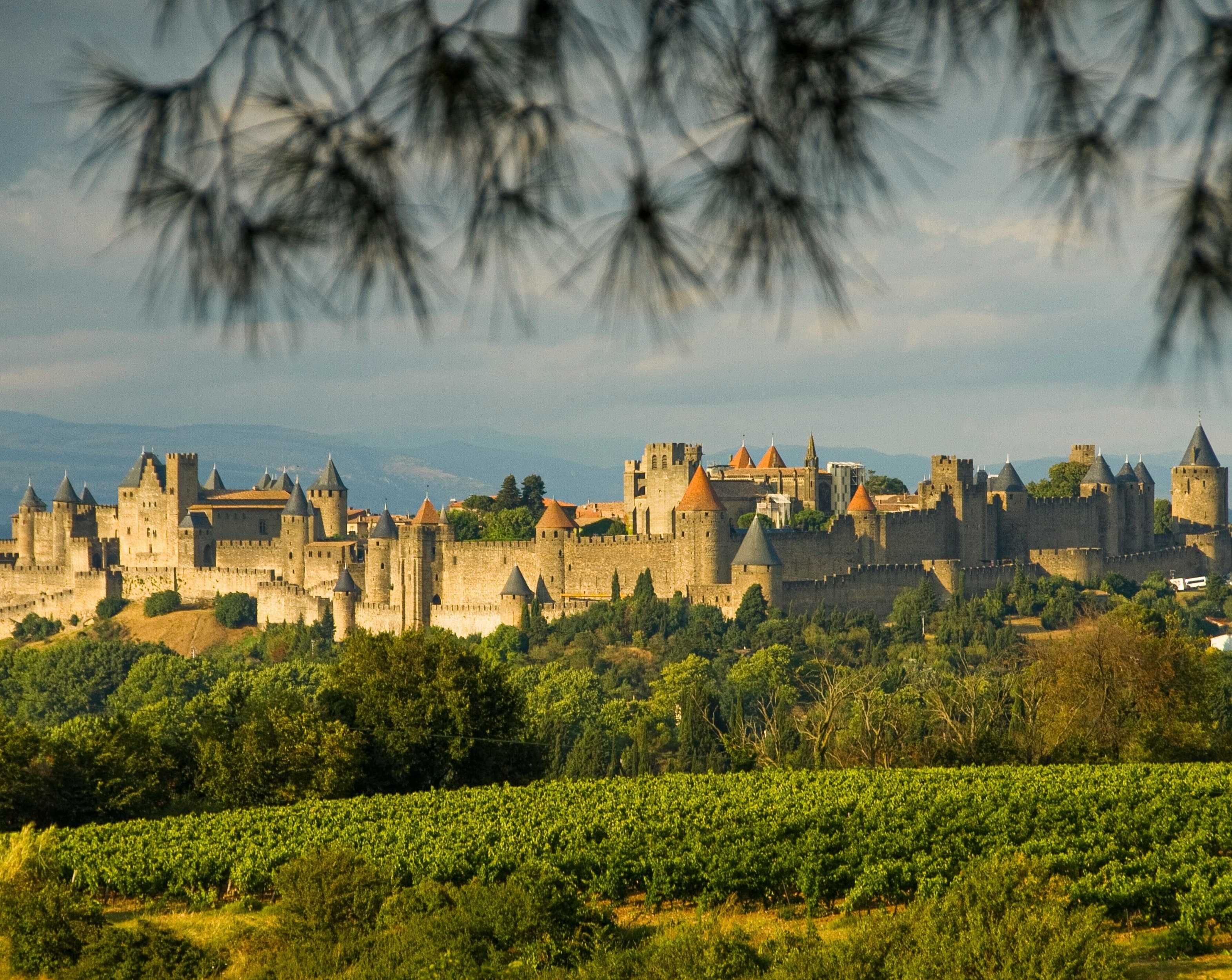 eSIM Carcassonne