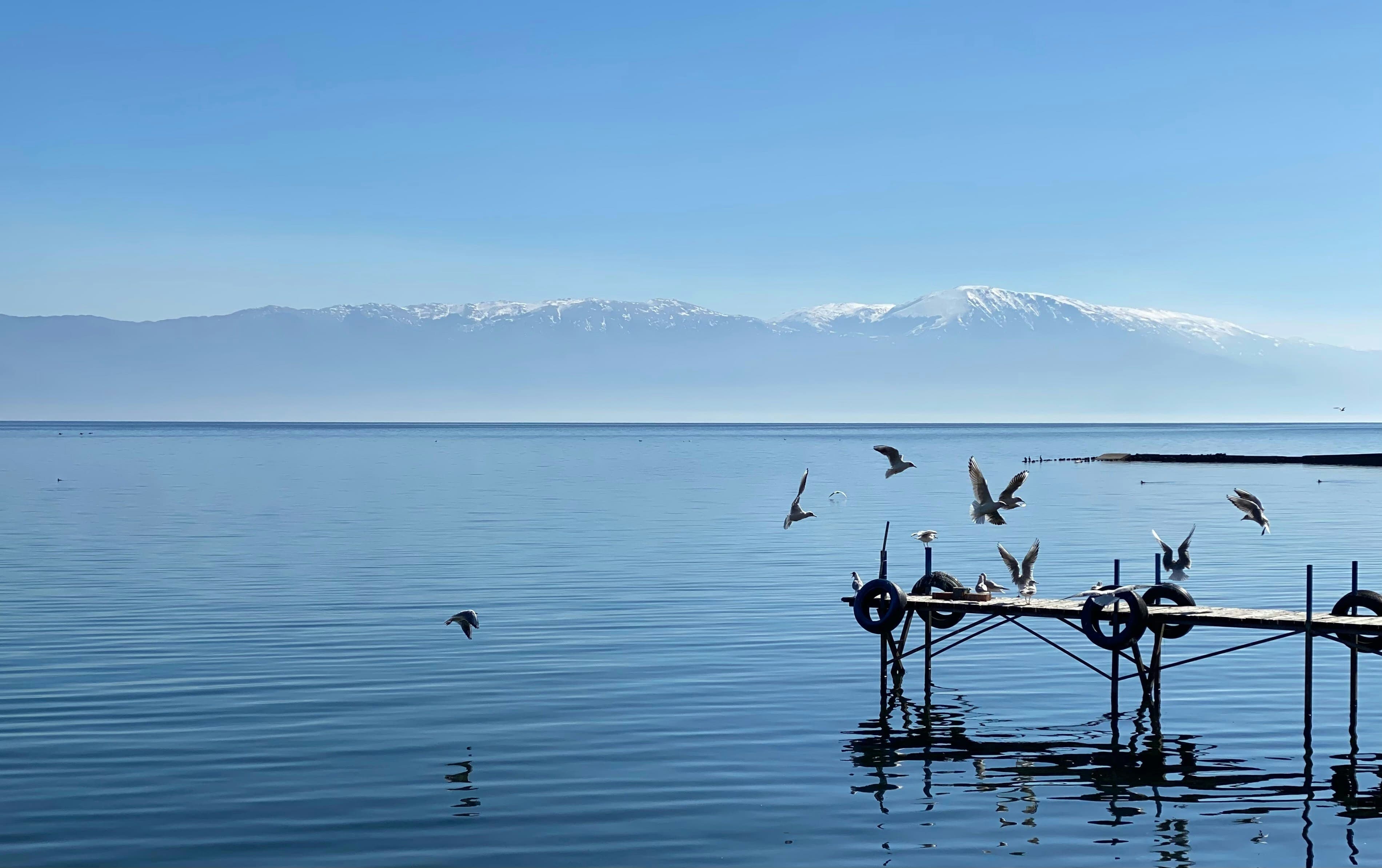 eSIM Struga