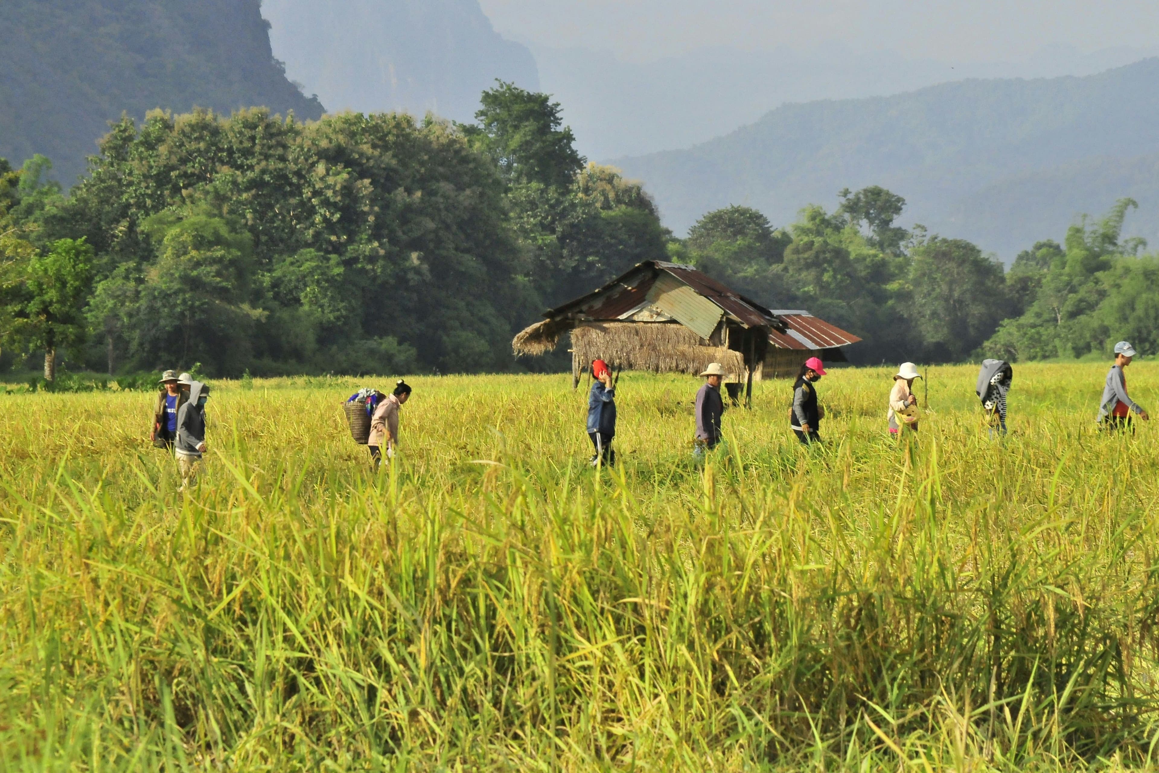 eSIM Vang Vieng