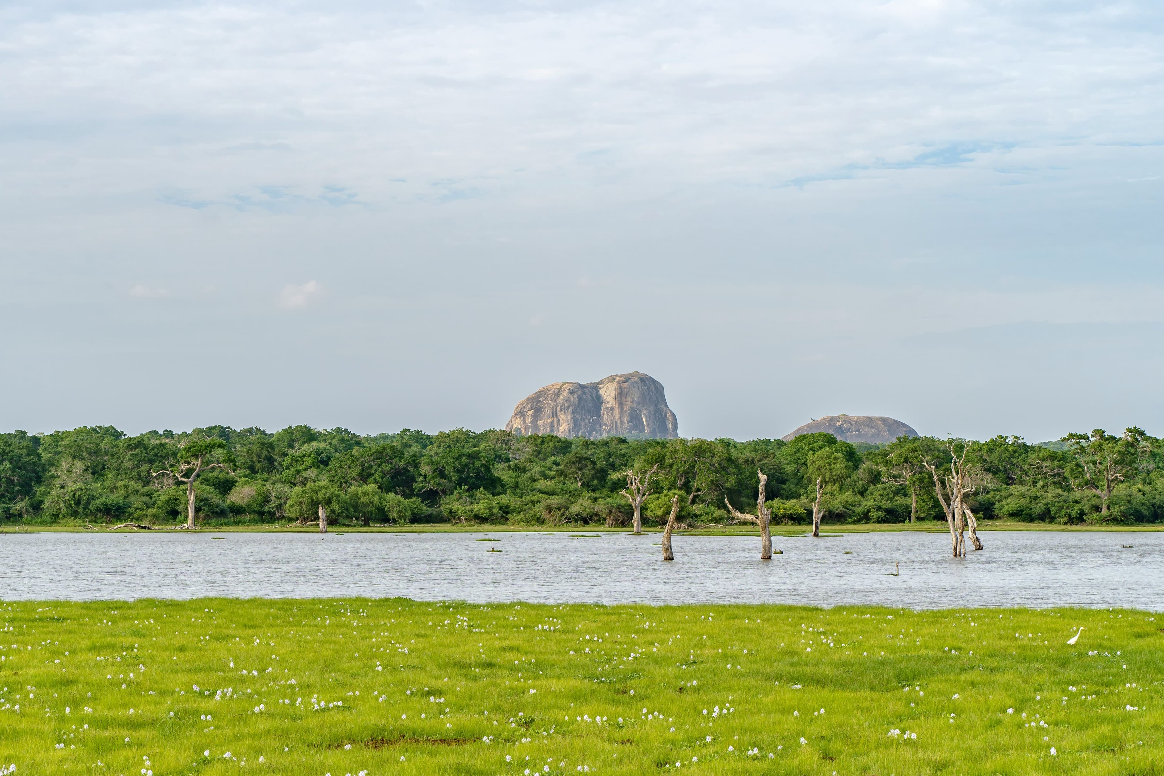 eSIM Yala National Park