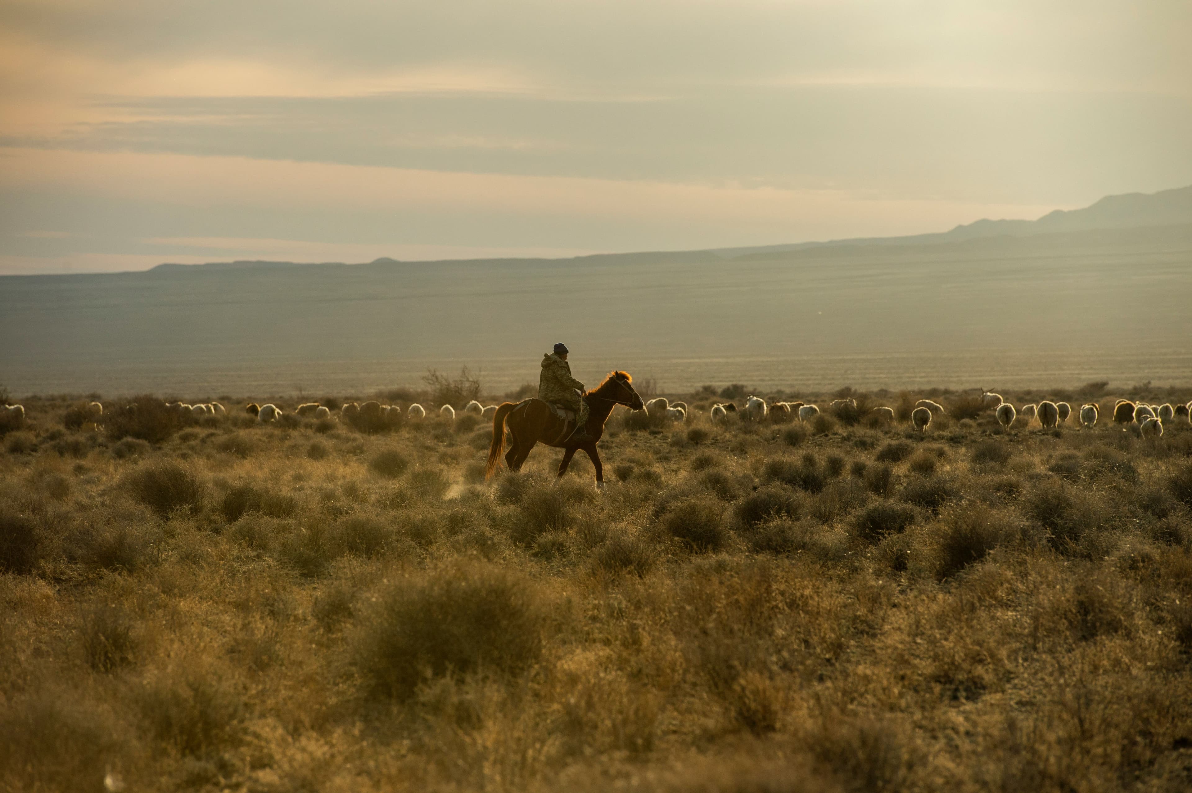 eSIM Altyn Emel National Park