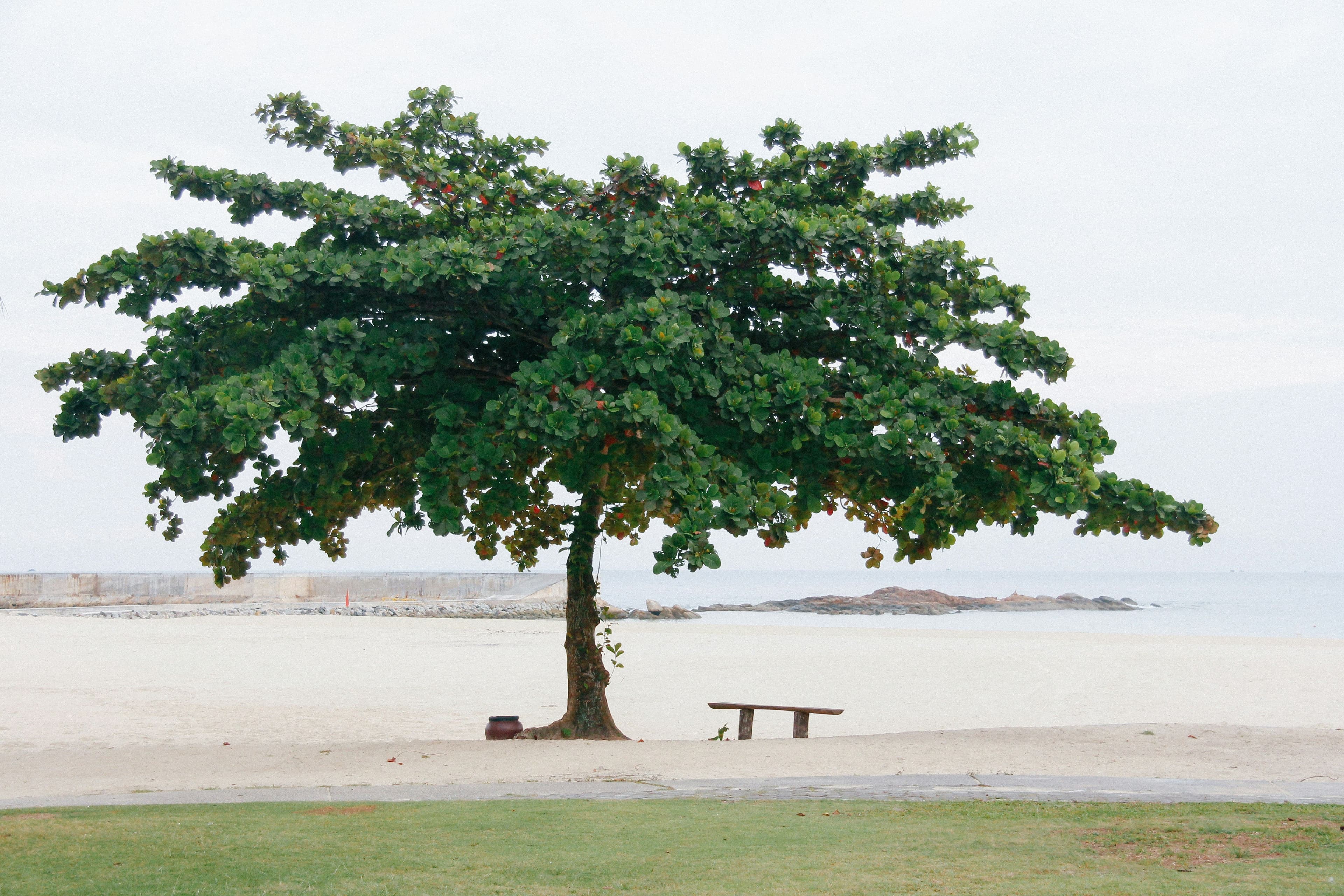 eSIM Bintan