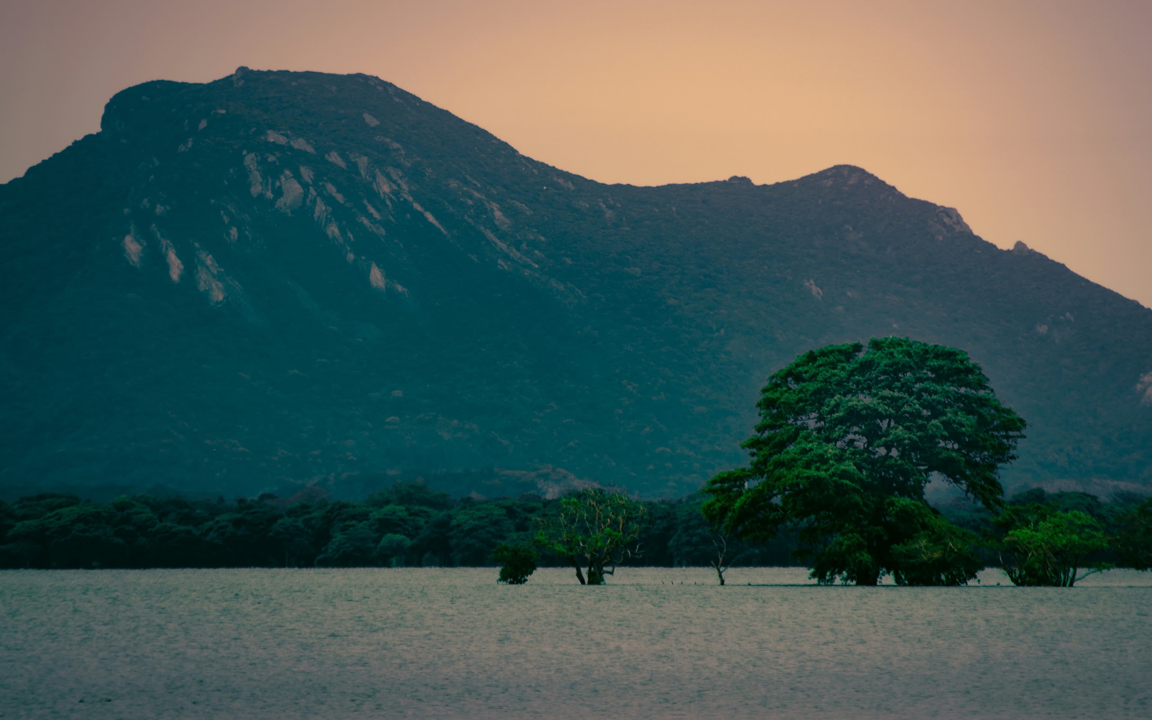 eSIM Anuradhapura