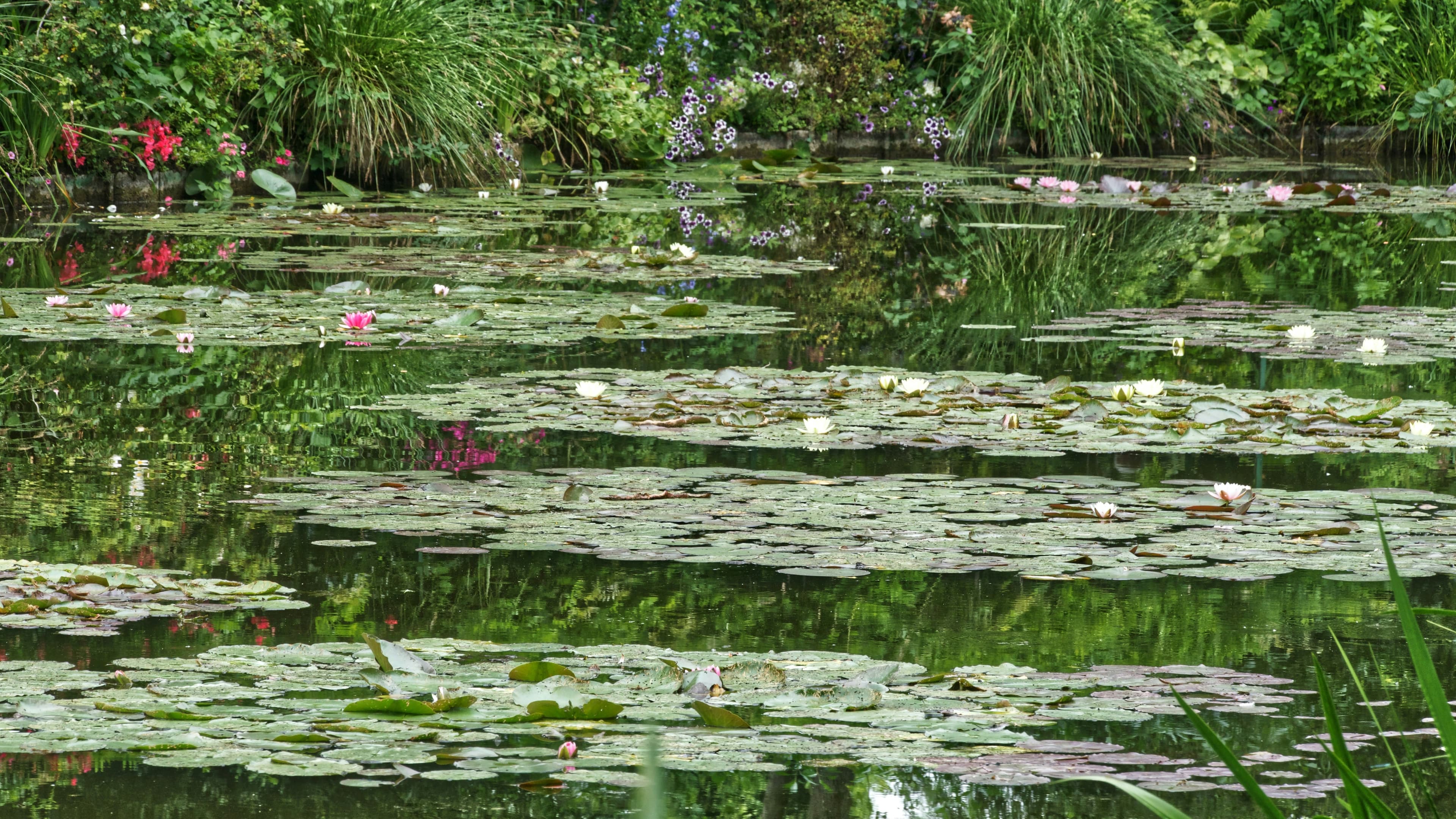 eSIM Giverny