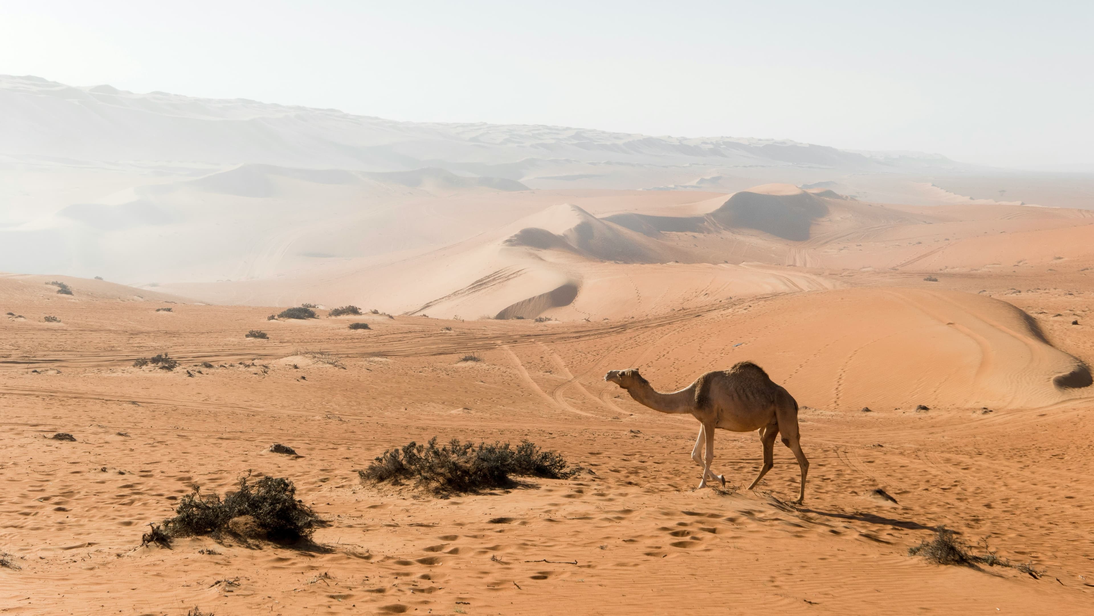 eSIM Wahiba Sands