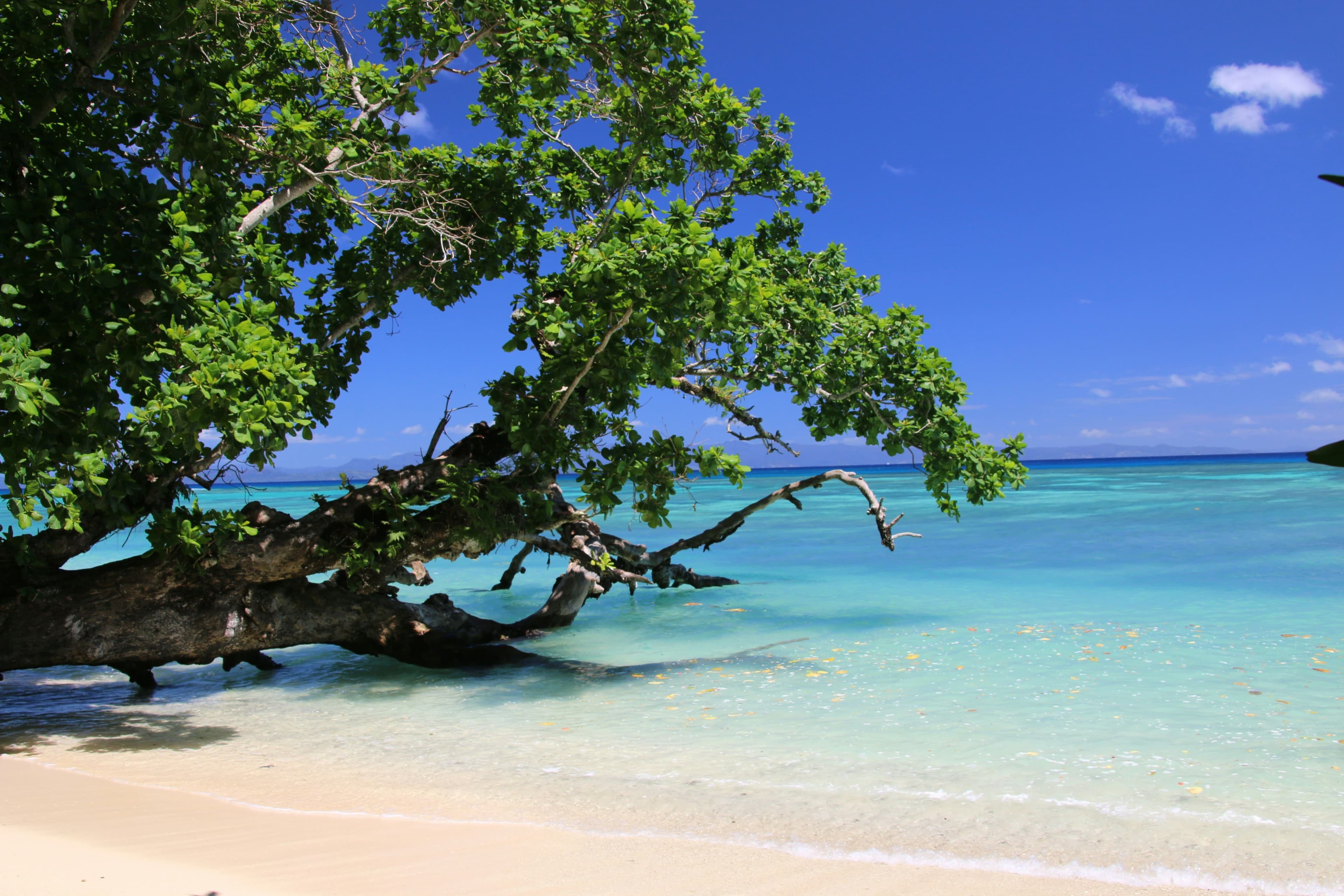 eSIM Taveuni Island