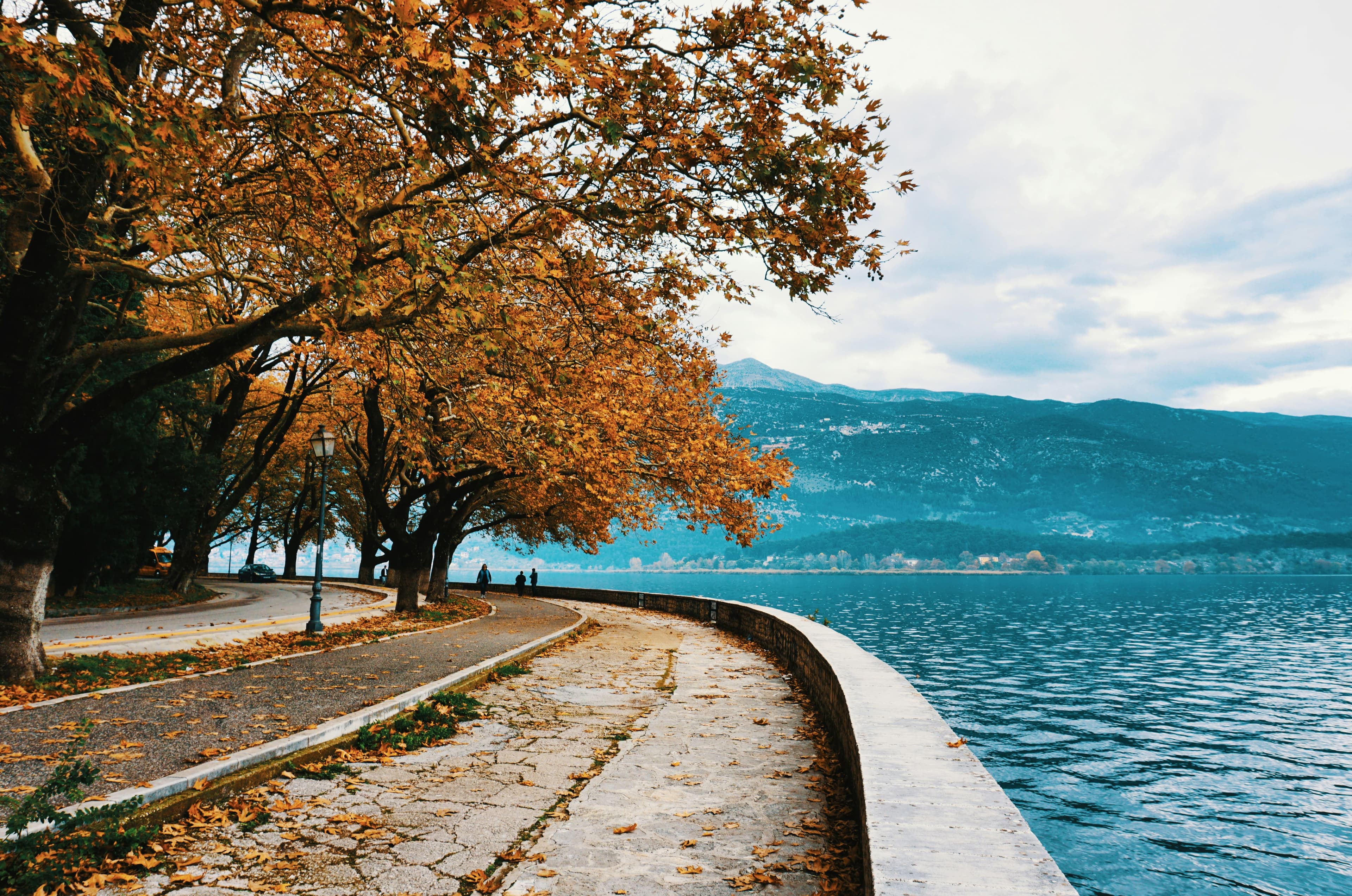 eSIM Ioannina