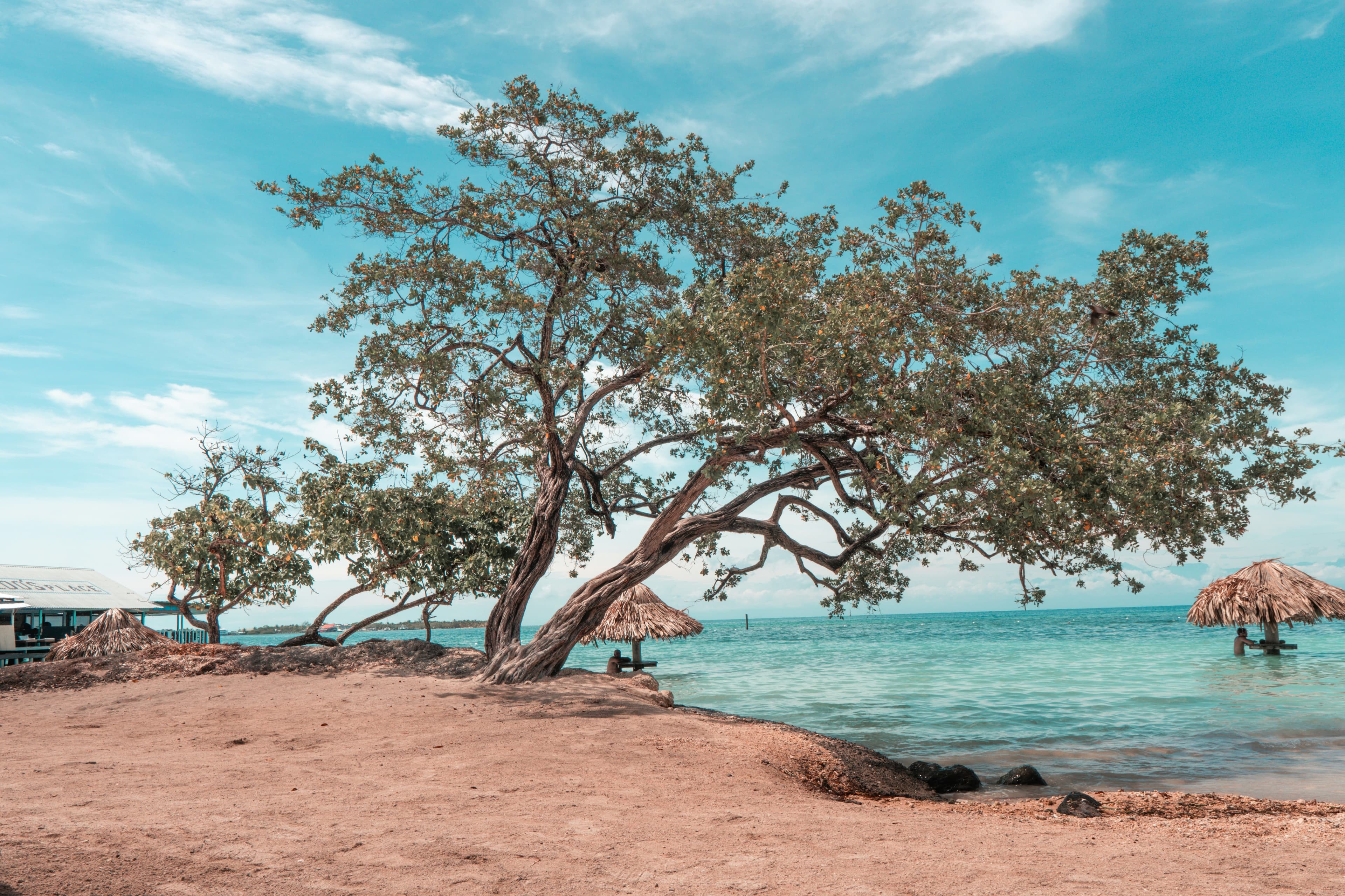 eSIM Utila