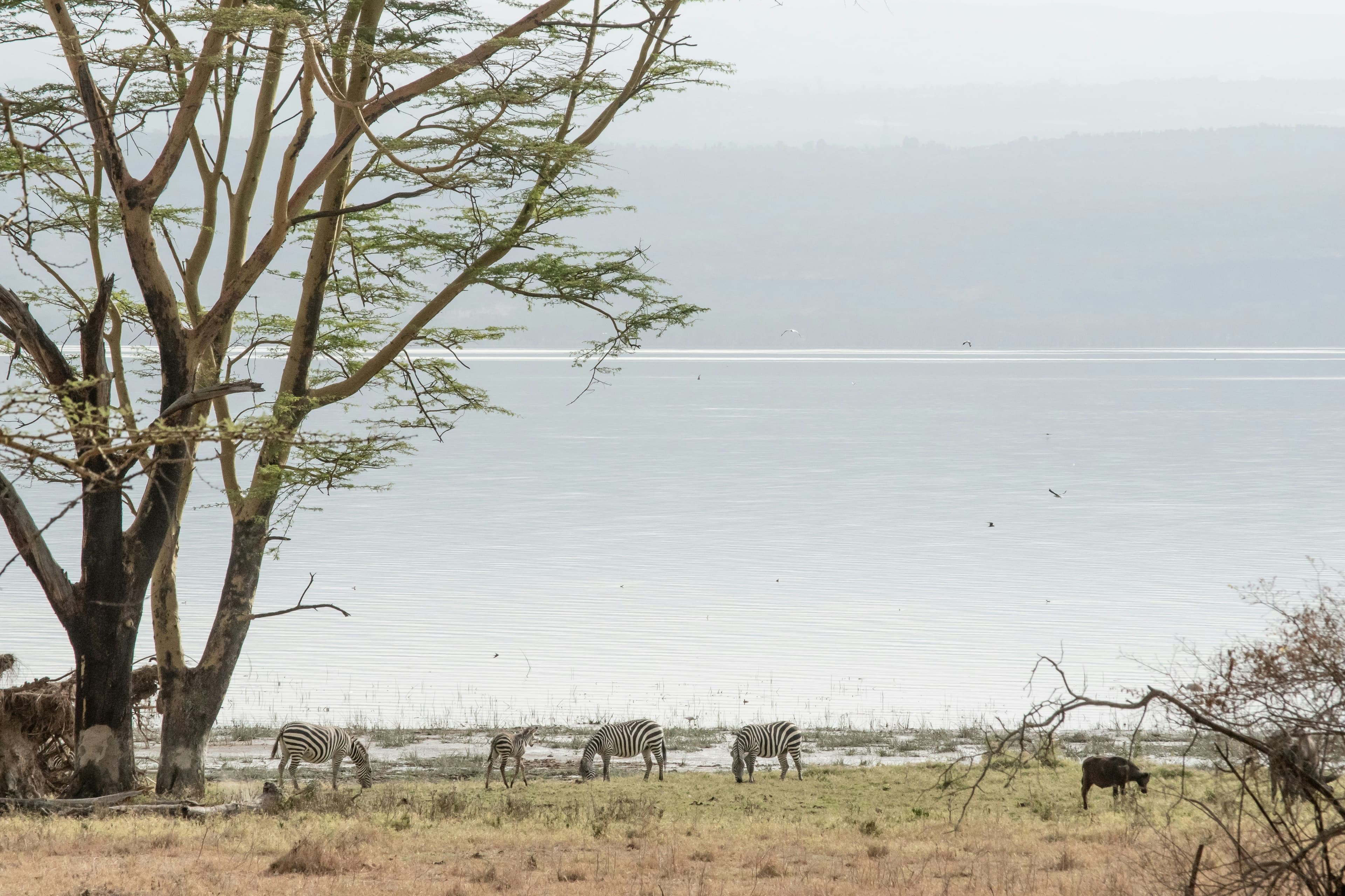 eSIM Lake Nakuru