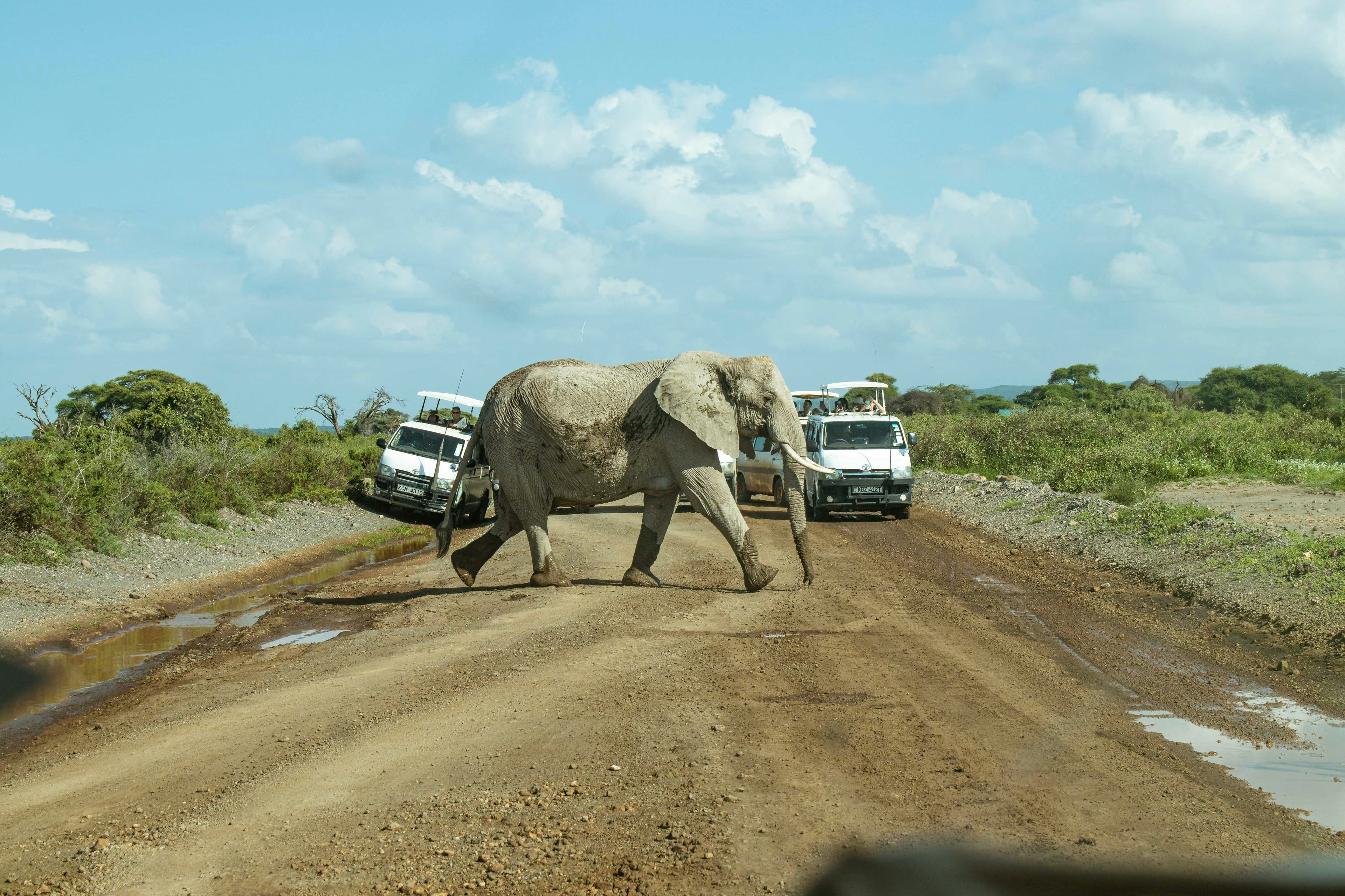eSIM Amboseli National Park