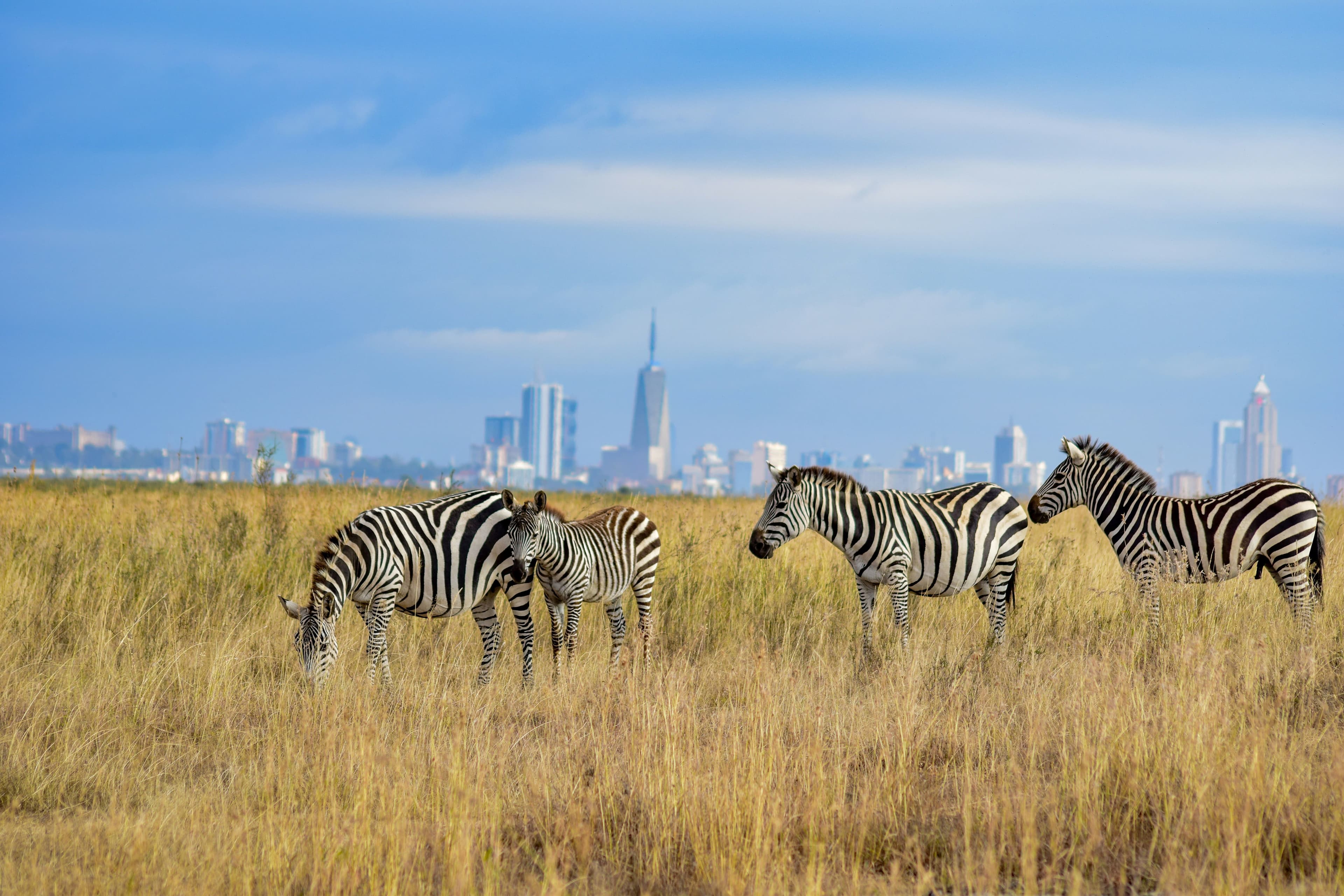 eSIM Nairobi National Park