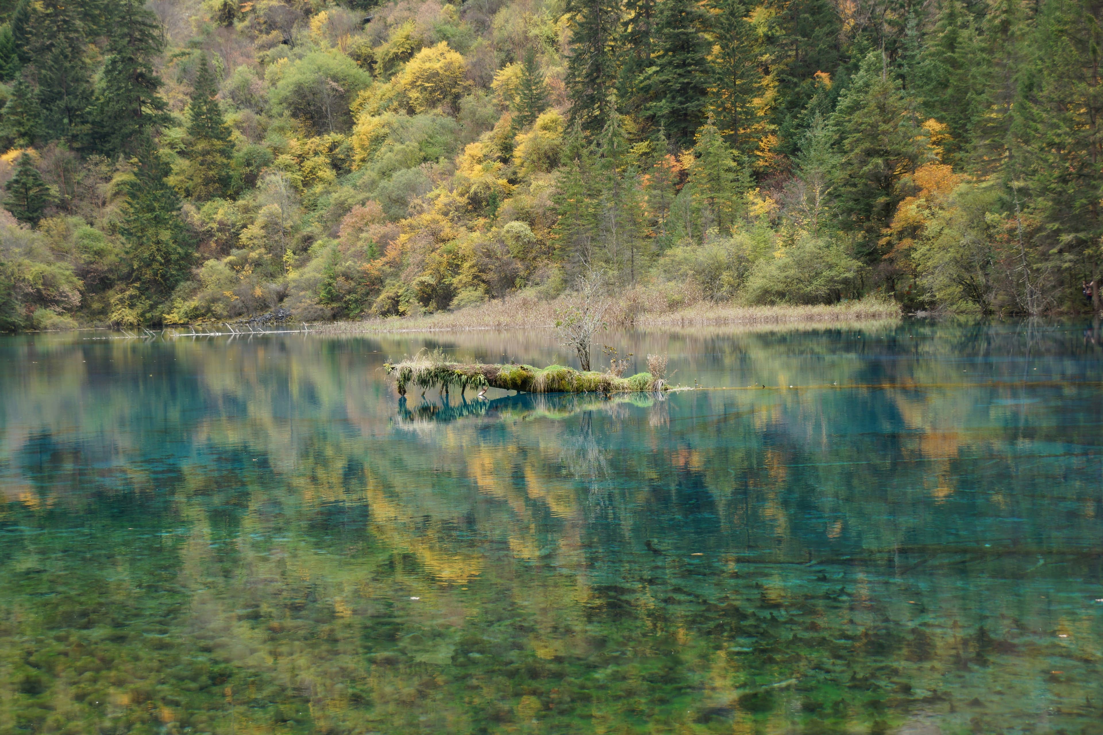 eSIM Jiuzhaigou