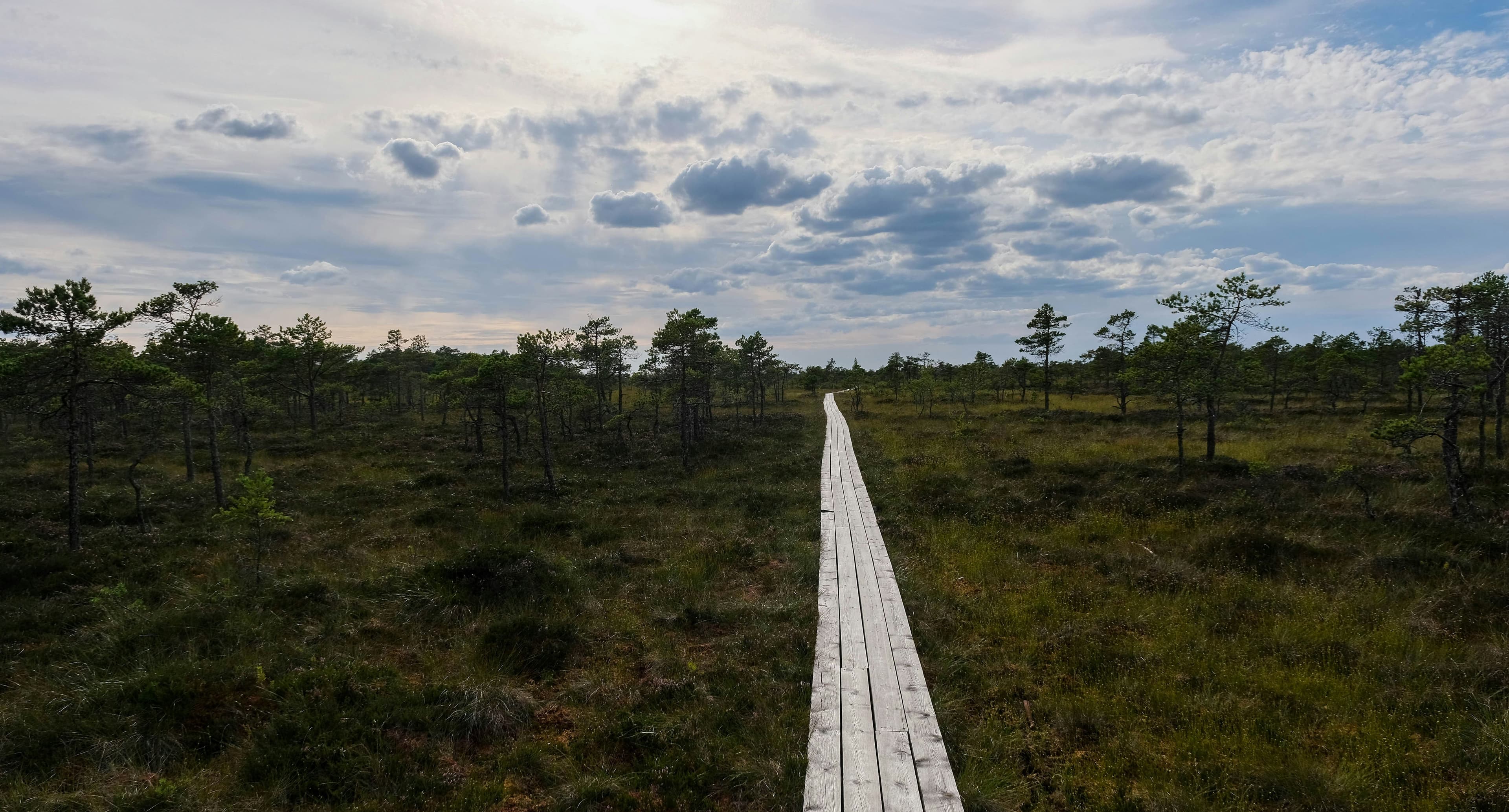 eSIM Sooma National Park