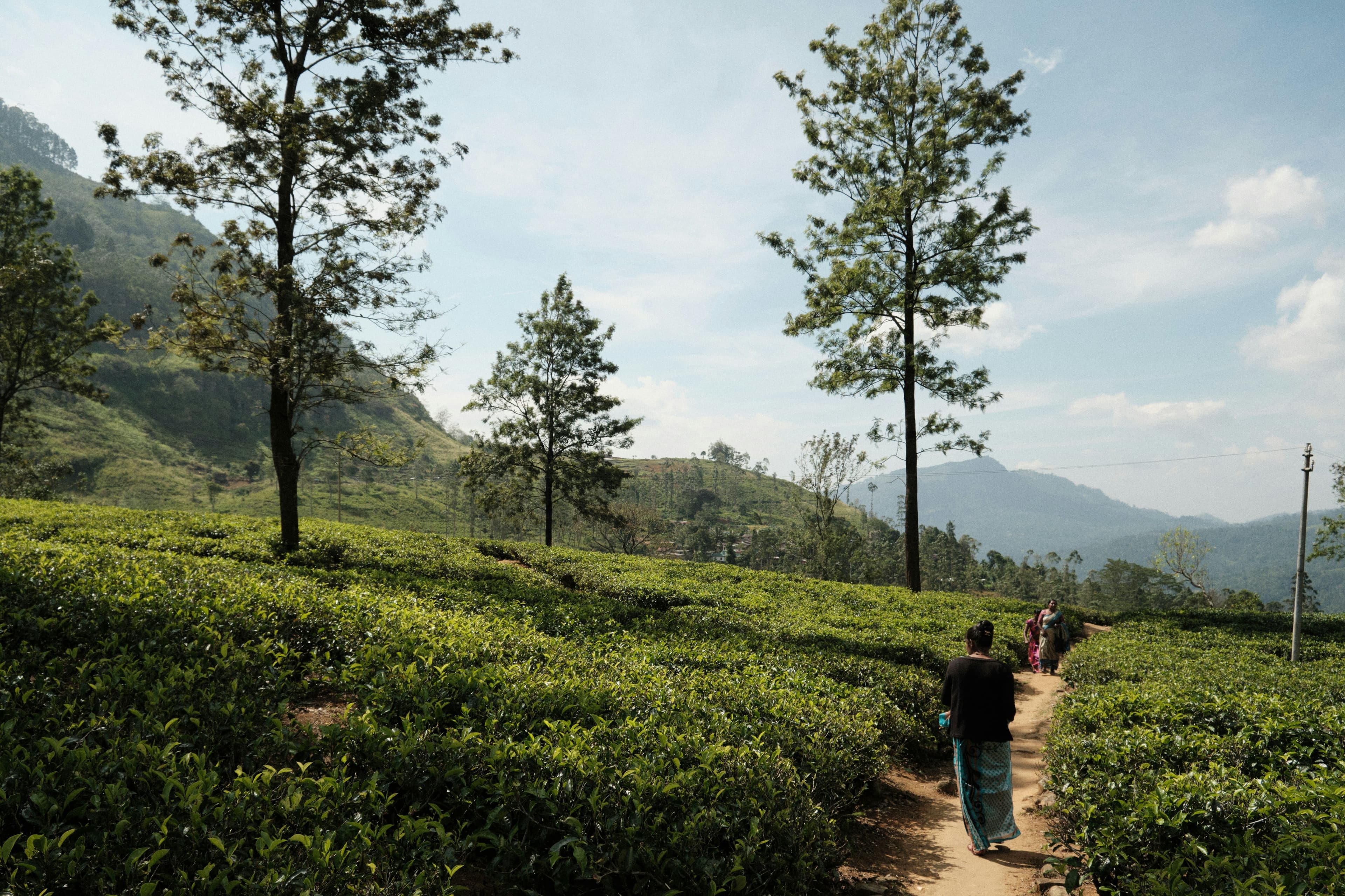 eSIM Nuwara Eliya